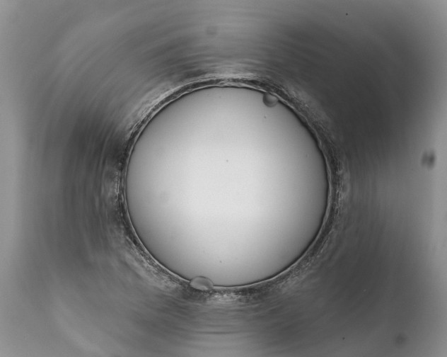 X0000111381169200907241303