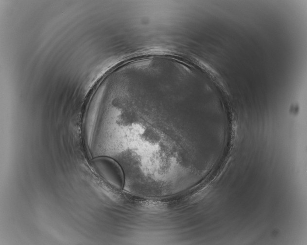 X0000111381170200907241303