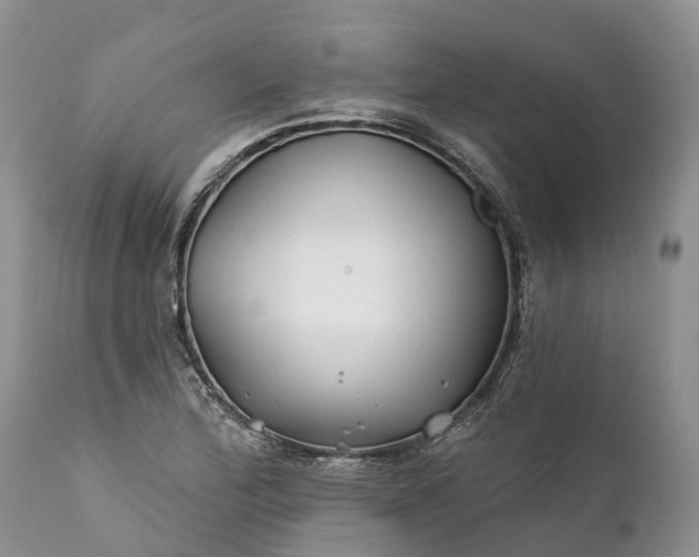 X0000111381172200907241303