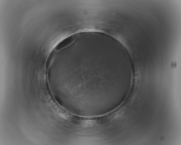 X0000111381173200907241303