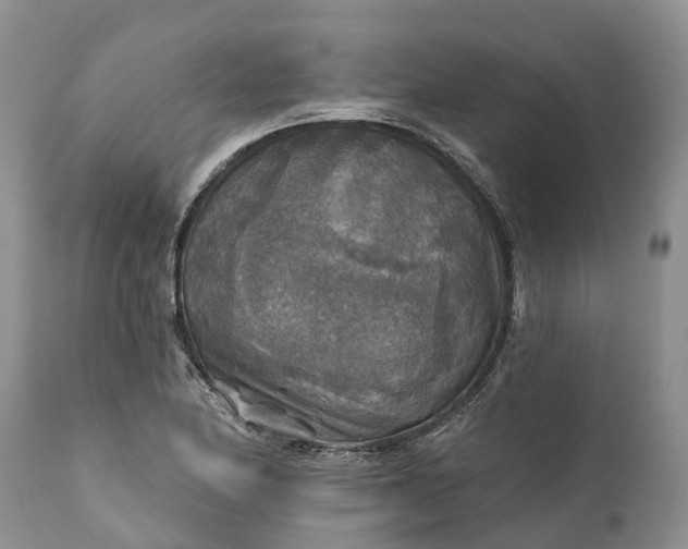 X0000111381174200907241303