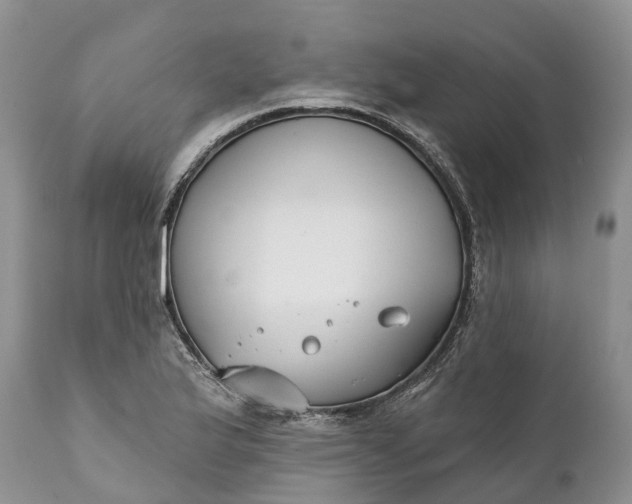 X0000111381175200907241303