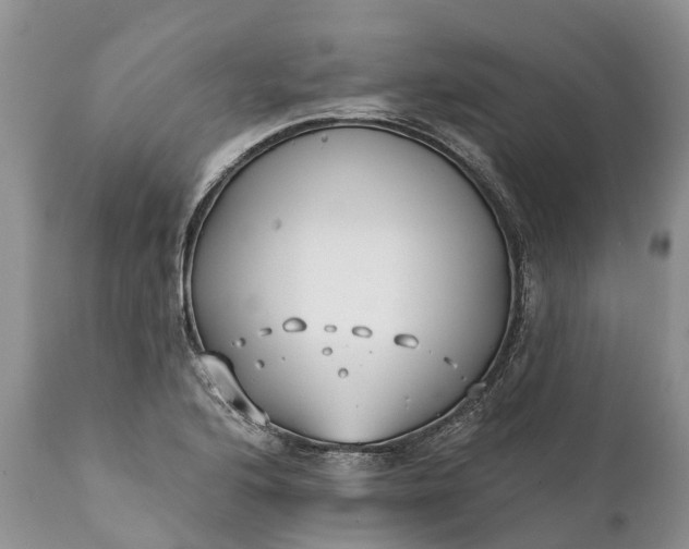 X0000111381176200907241303