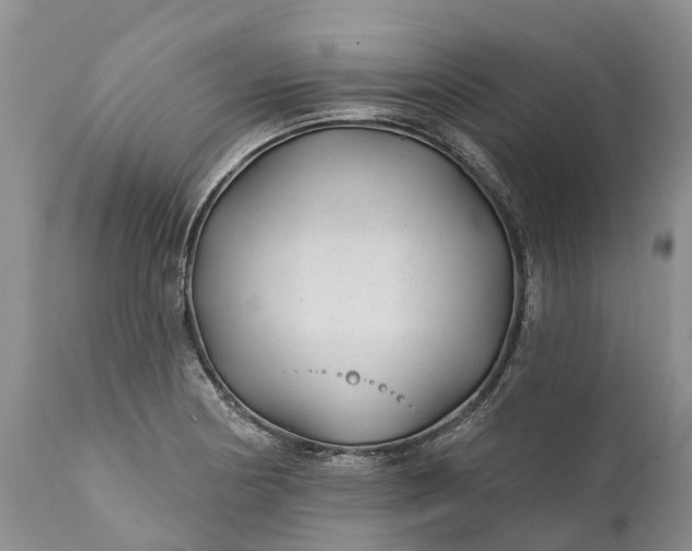 X0000111381178200907241303