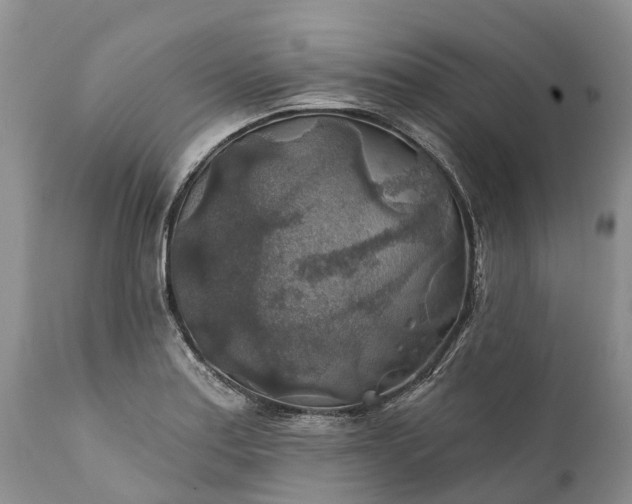 X0000111381179200907241303