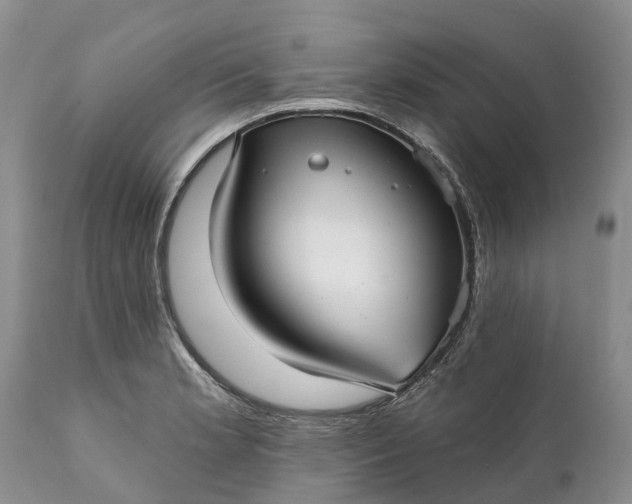 X0000111381181200907241303