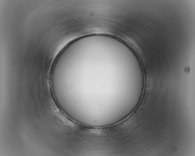 X0000111381182200907241303