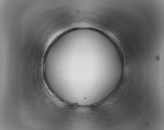 X0000111381183200907241303