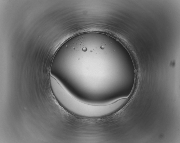 X0000111381185200907241302