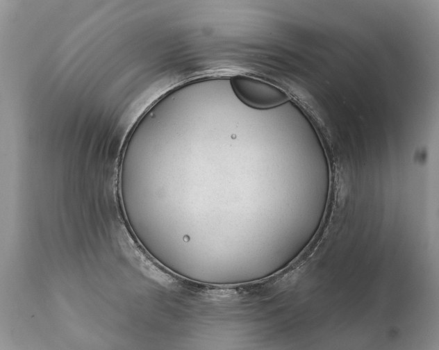 X0000111381186200907241302