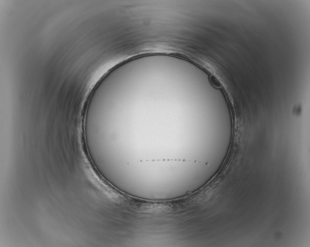 X0000111381187200907241302