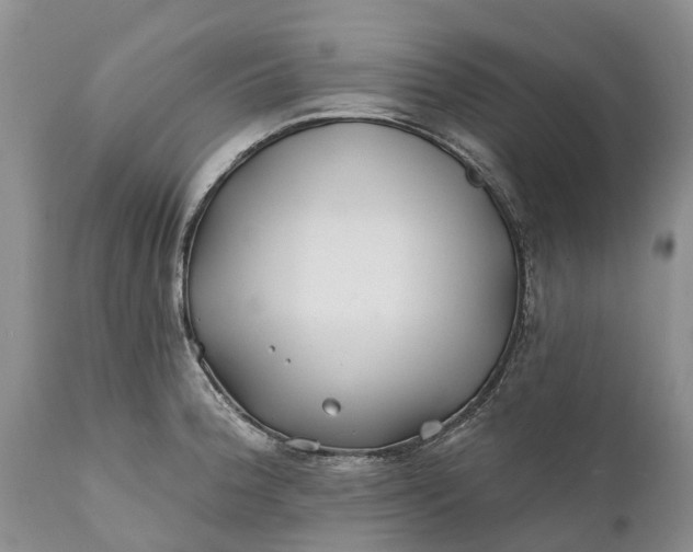 X0000111381188200907241302