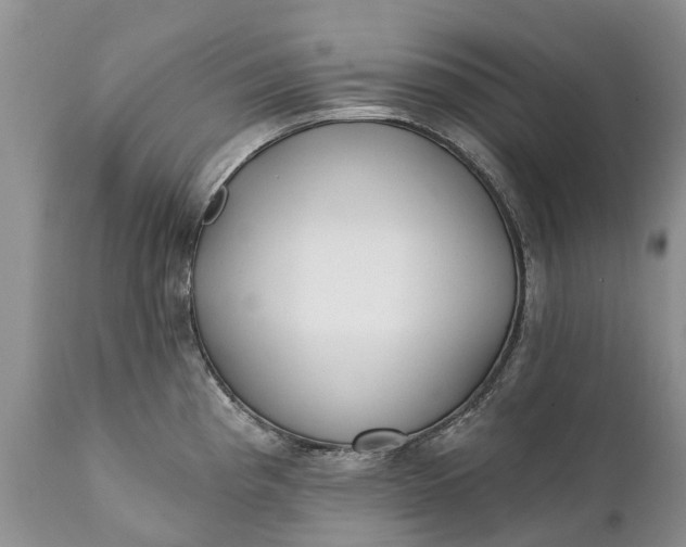 X0000111381193200907241302