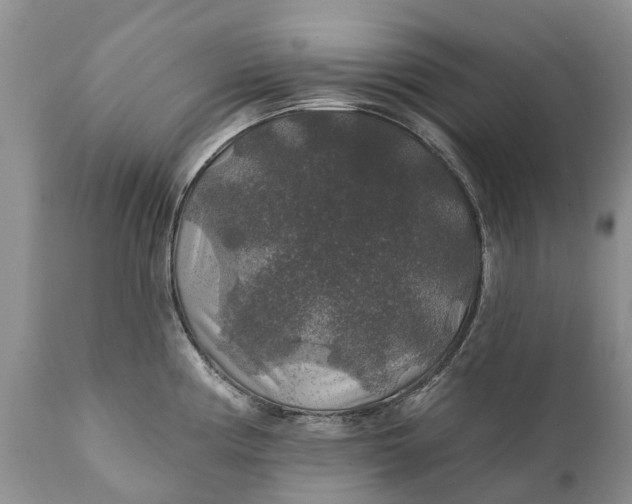 X0000111381194200907241302