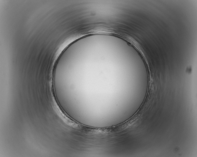 X0000111381195200907241302