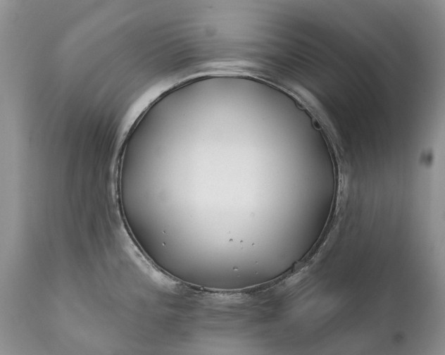 X0000111381196200907241302