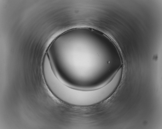 X0000111381197200907241302