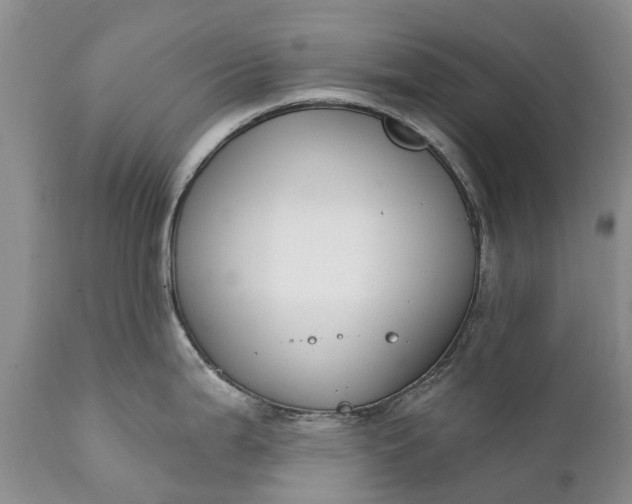 X0000111381199200907241302