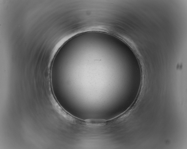 X0000111381200200907241302