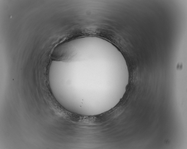 X0000111381201200907241301