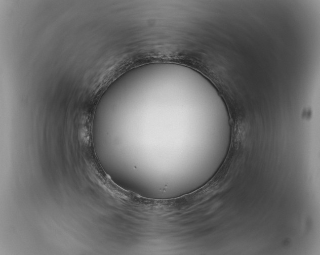 X0000111381202200907241301