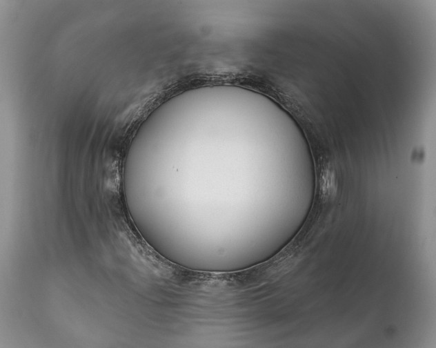 X0000111381204200907241302