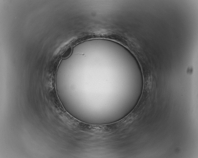 X0000111381205200907241302