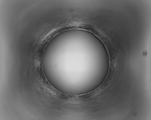 X0000111381206200907241302