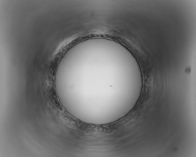 X0000111381207200907241302