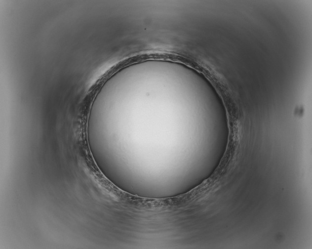 X0000111381208200907241302