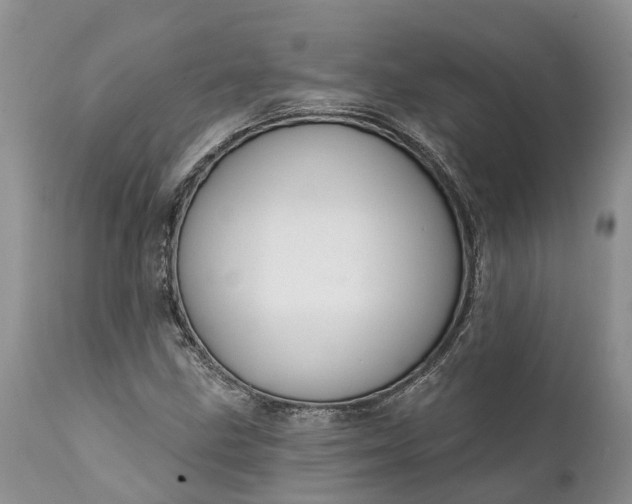 X0000111381211200907241302