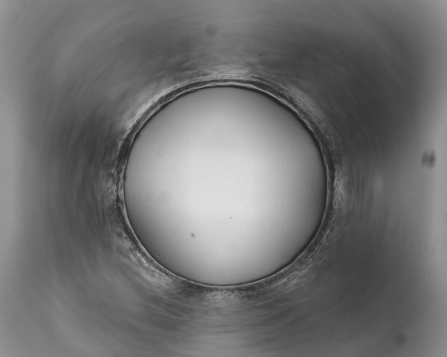 X0000111381212200907241302