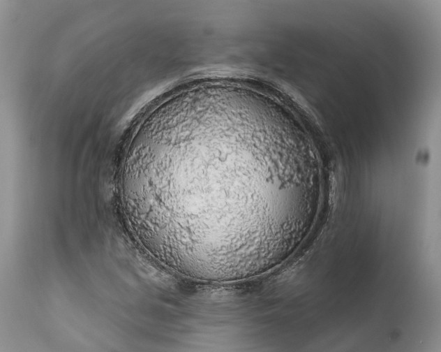 X0000111381213200907241302