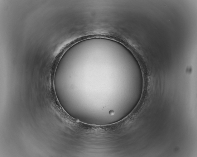 X0000111381214200907241302