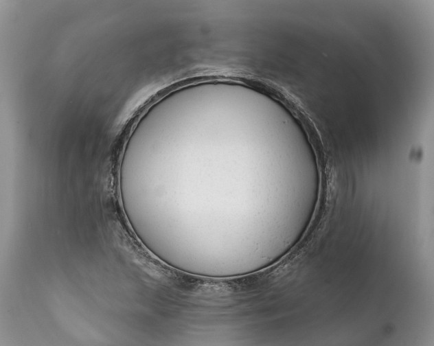 X0000111381215200907241302