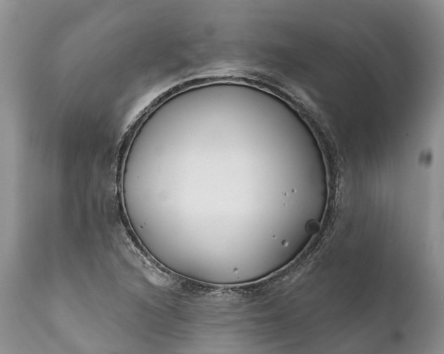 X0000111381216200907241302