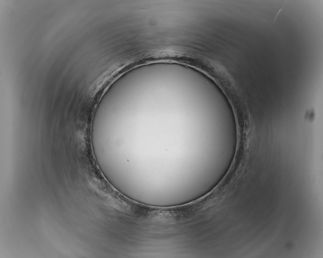 X0000111381217200907241302