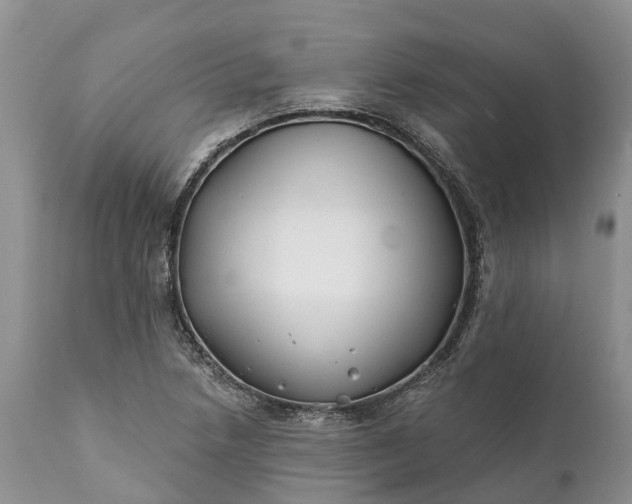 X0000111381218200907241302