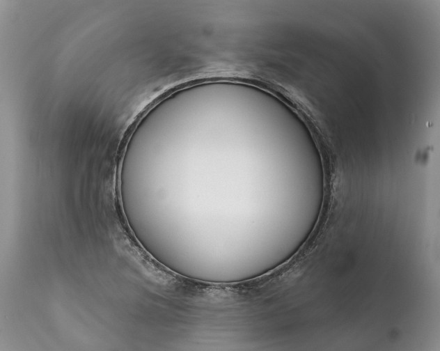 X0000111381220200907241302