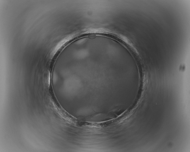 X0000111381221200907241302