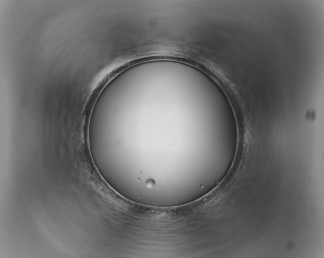 X0000111381222200907241302