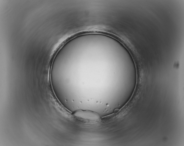 X0000111381224200907241302