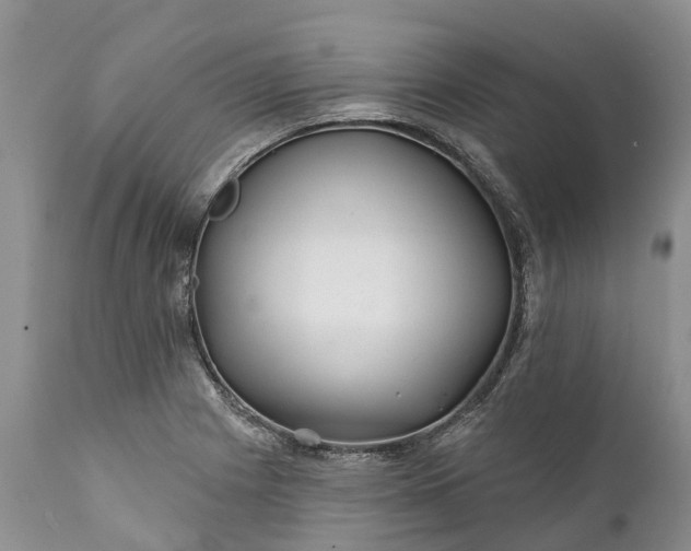 X0000111381225200907241302