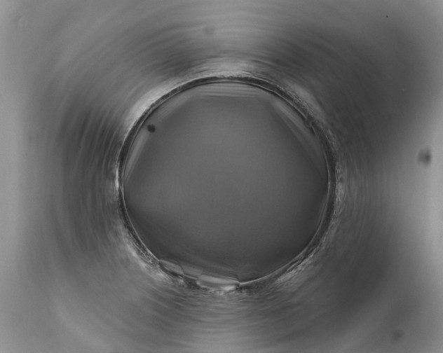 X0000111381226200907241302