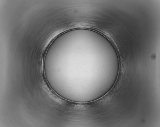 X0000111381227200907241302