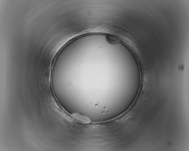 X0000111381228200907241302