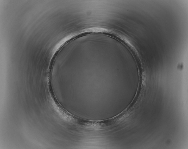 X0000111381229200907241302