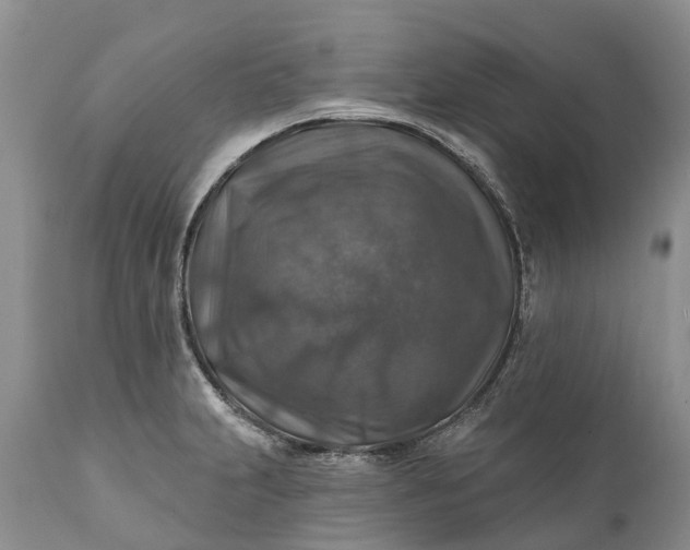 X0000111381231200907241302