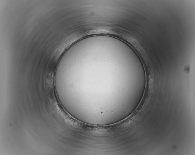 X0000111381233200907241302