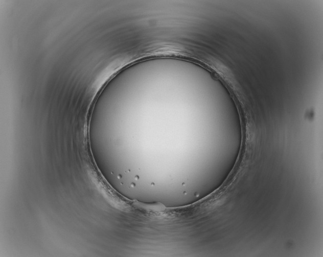 X0000111381234200907241302